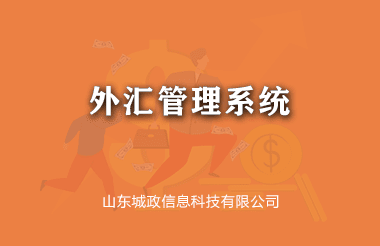 外(wài)彙管理(lǐ)系統